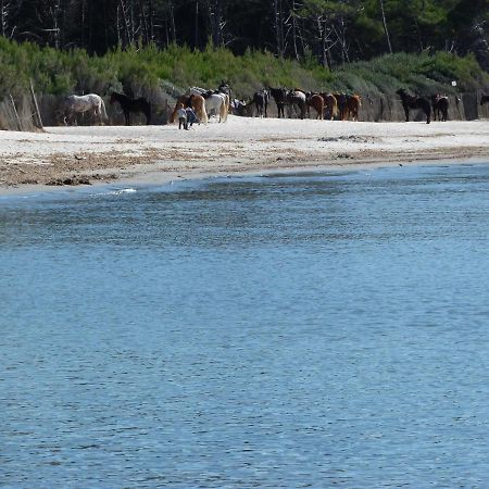 Affittacamere A Due Passi Dal Mare Marina di Cecina Eksteriør bilde
