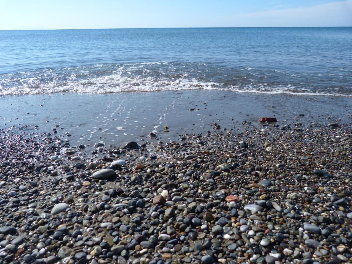 Affittacamere A Due Passi Dal Mare Marina di Cecina Eksteriør bilde