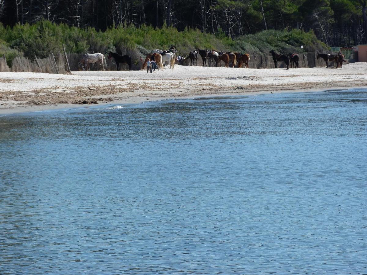 Affittacamere A Due Passi Dal Mare Marina di Cecina Eksteriør bilde